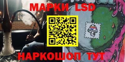 шишки Изобильный