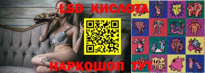 шишки Изобильный