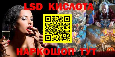 шишки Изобильный