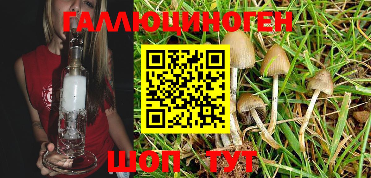 Томск  Псилоцибиновые грибы Magic Shrooms  Вход с VPN 
