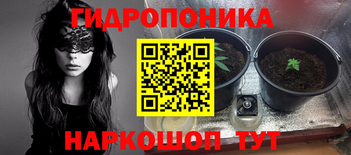Конопля марихуана  Вход с VPN  Марихуана White Widow  Томск 